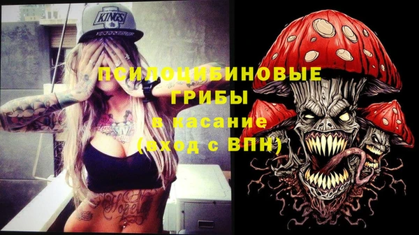 трава Беломорск